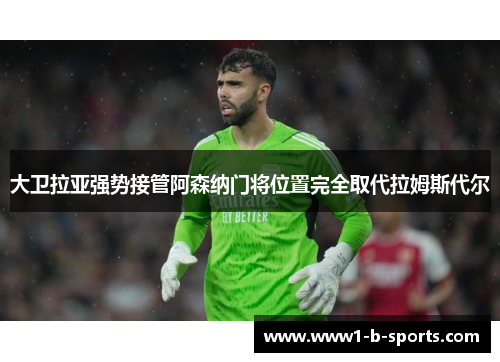 大卫拉亚强势接管阿森纳门将位置完全取代拉姆斯代尔